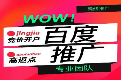 某电商平台的SEM优化全流程案例分享