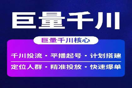 低成本高回报：百度竞价代理成功案例分析